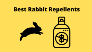 Best Rabbit Repellents To Protect Your Garden