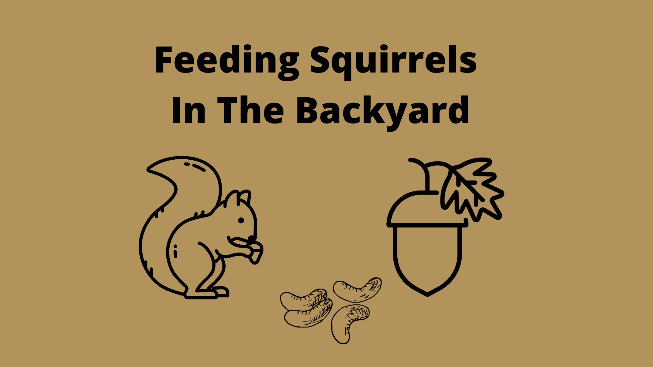 Best Squirrel Food | What To Feed Squirrels In Backyard