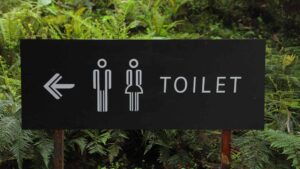 How To Replace The Toilet Seat And Fix A Leaky Toilet