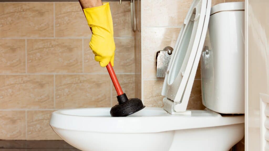 how to replace the toilet seat