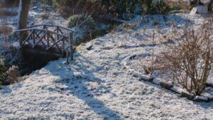 How To Winter-Proof Your Garden | 7 Easy Steps