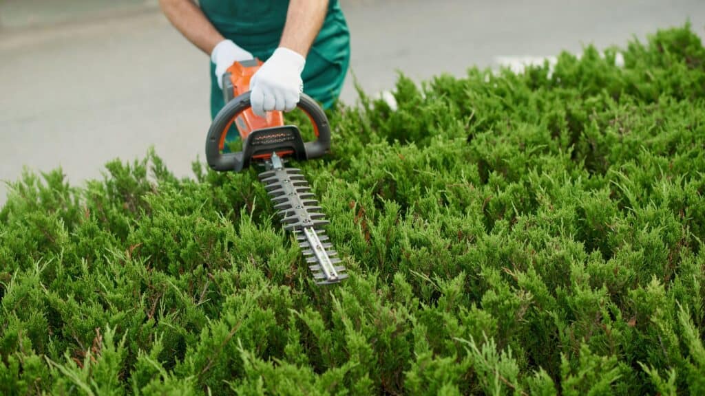 your garden winter-proof