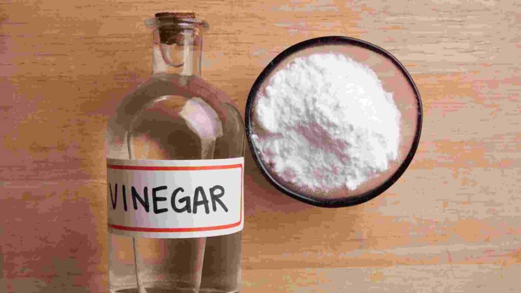 Vinegar, Epsom Salts And Dish Detergent Recipe