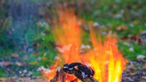 Can I Have A Fire Pit In My Backyard? What You Need to Know