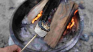 Can You Roast Marshmallows On A Propane Fire Pit? [Safe Fun]
