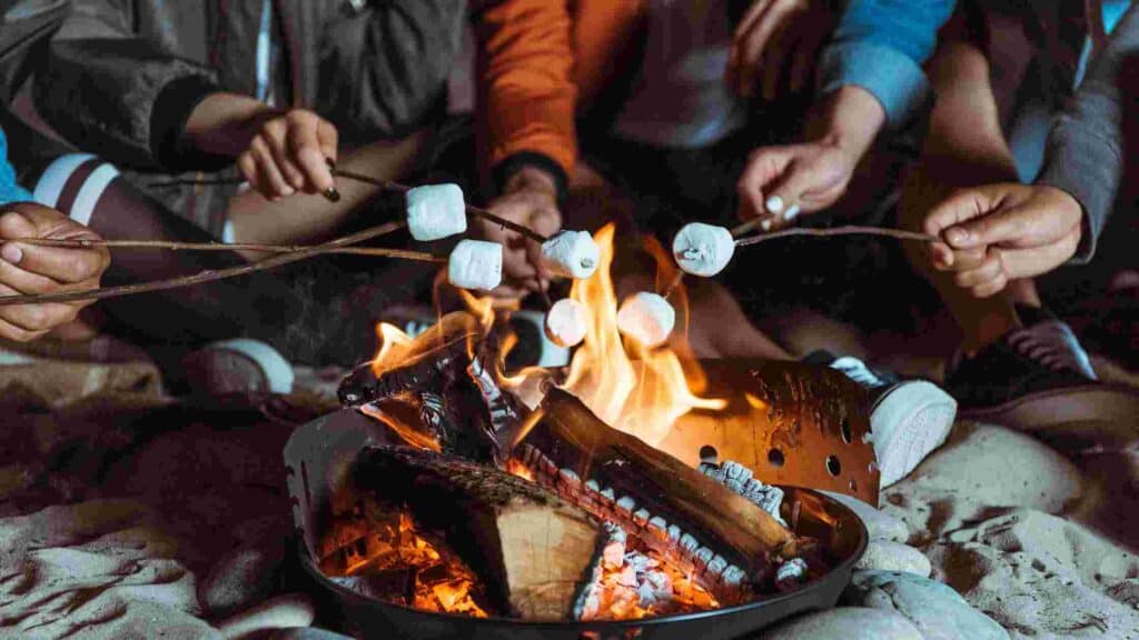 diy fire pit under $50