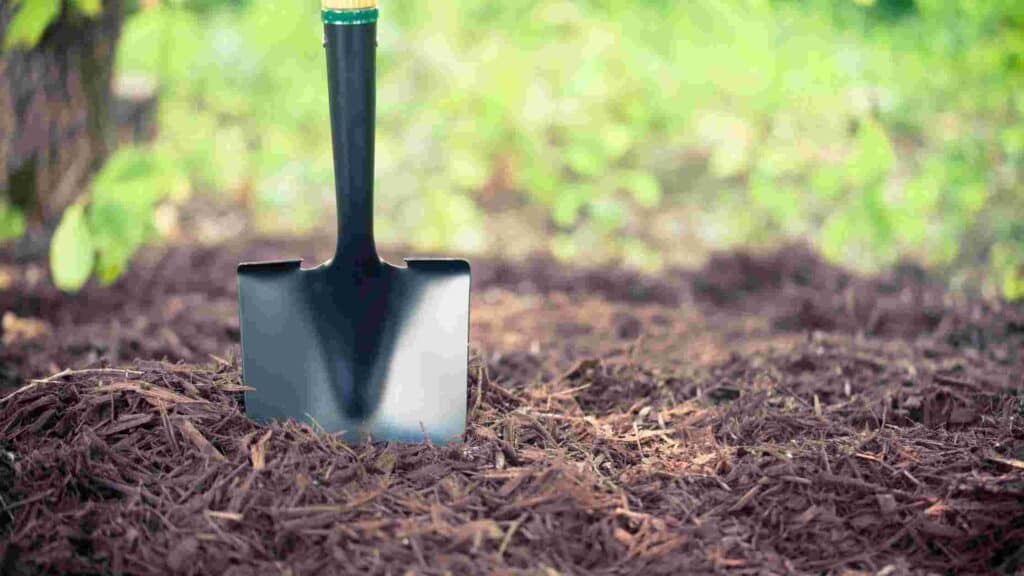 how often should you replace mulch