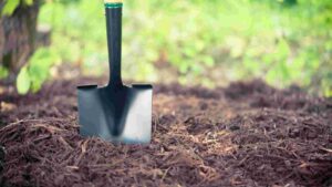 How Often Should You Replace Mulch? [Tips And Insights]