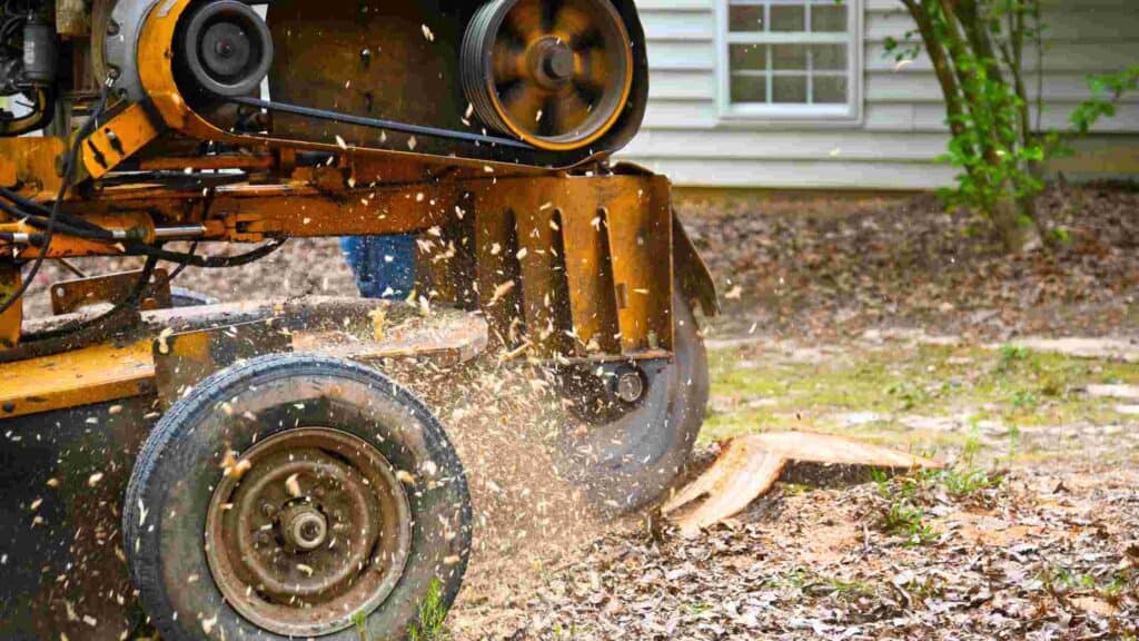 how to grind a tree stump