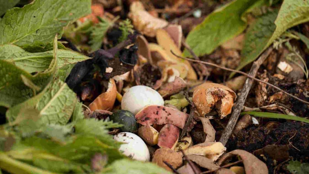 how to make mushroom compost