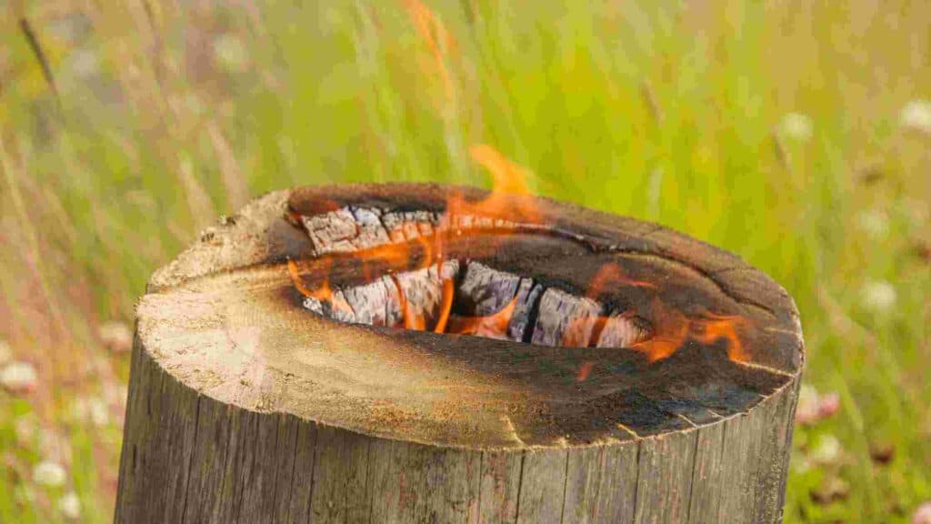 how to remove a stump without a grinder