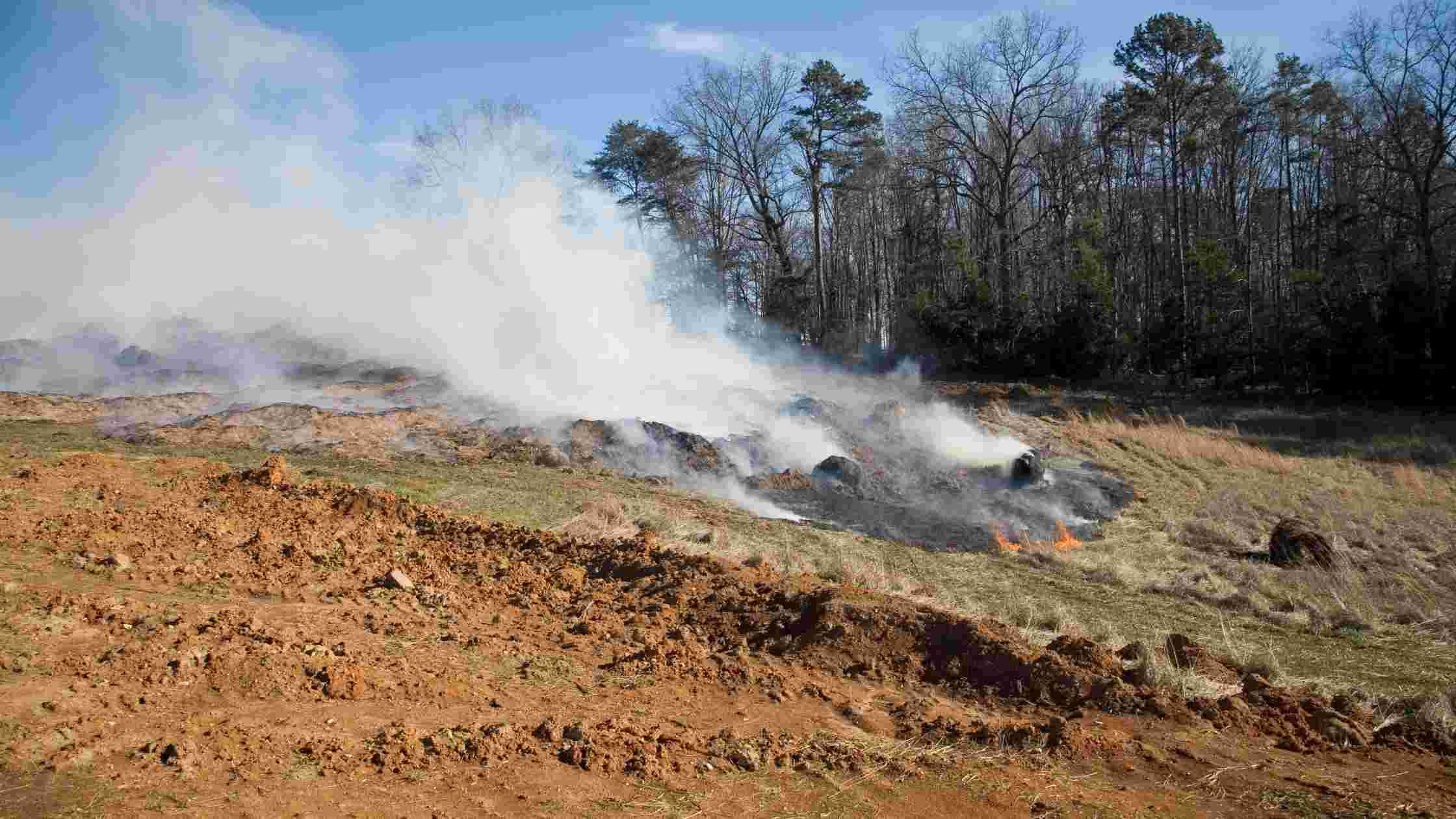 Is Mulch Flammable? [Find Out Here!]