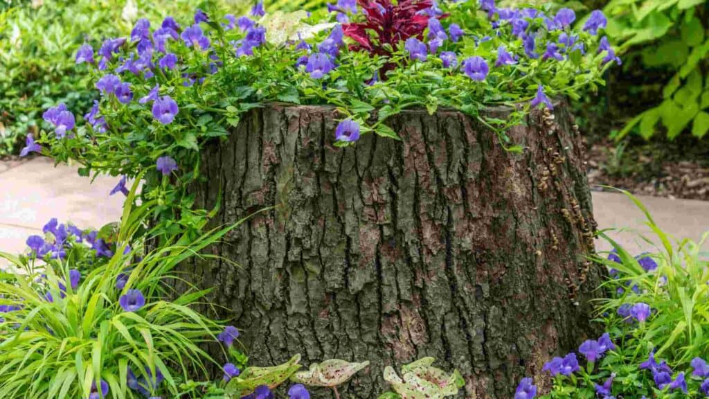 tree stump pedestal