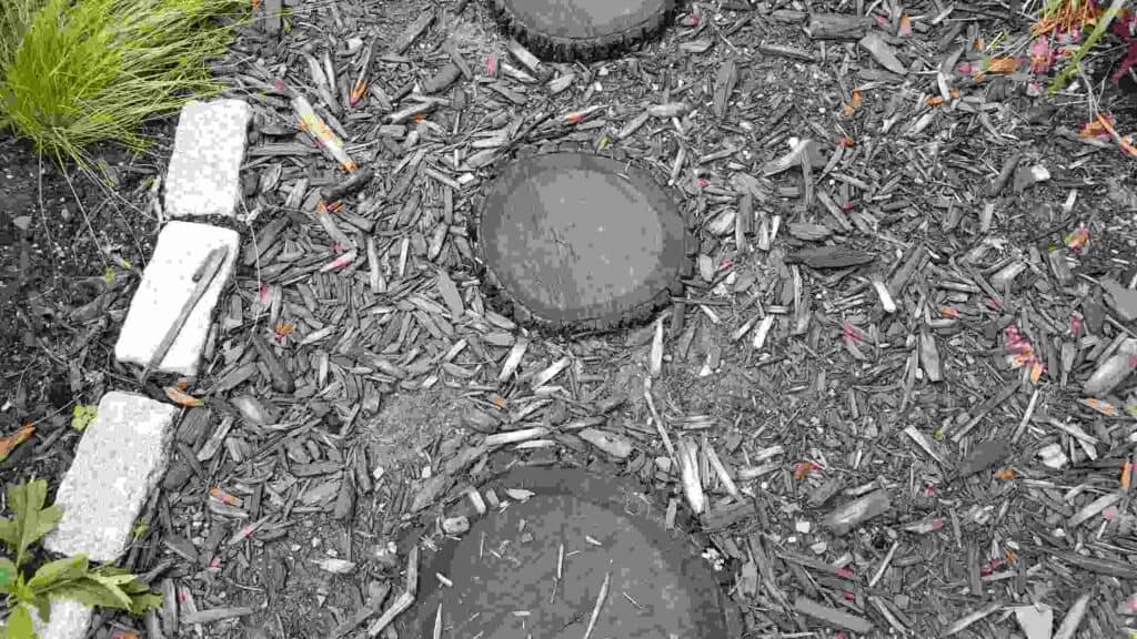 tree stump stepping stones