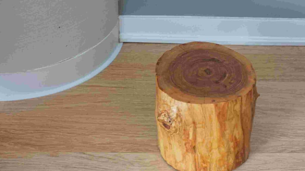 tree stump table