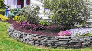 What Is Mulch? [Complete Guide On Benefits And Types Of Mulch]