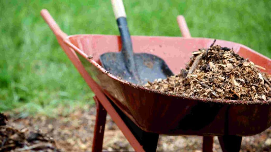 when is the best time to mulch