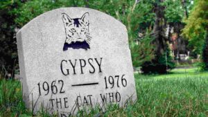 Can You Bury A Cat In Your Backyard? [The Surprising Truth]