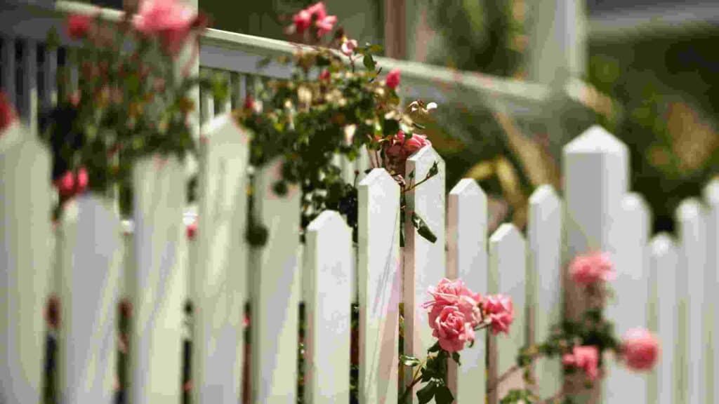 how do you landscape against a fence
