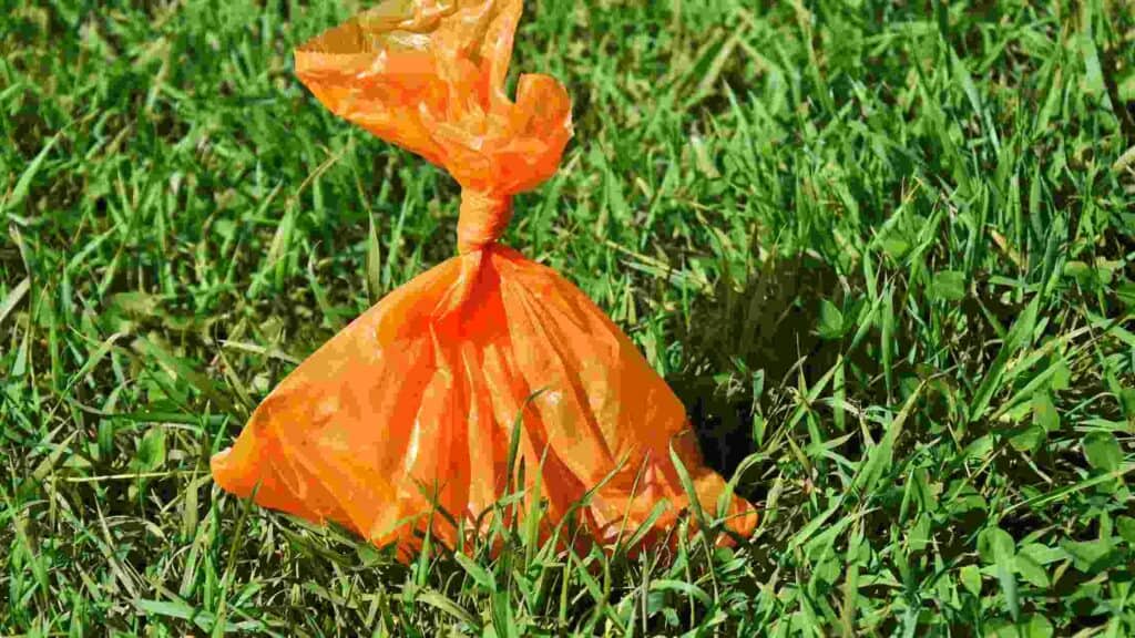 how to deal with dog poop in yard