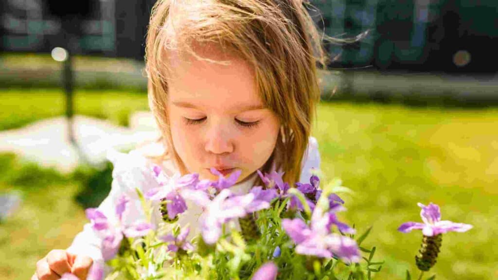 how to make your backyard smell better