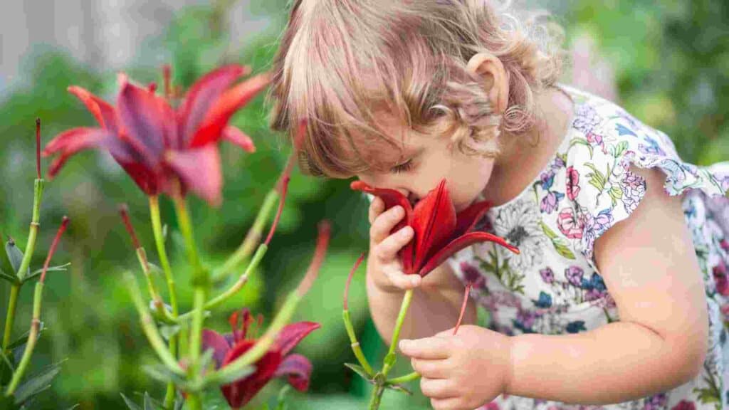 how to make your backyard smell good