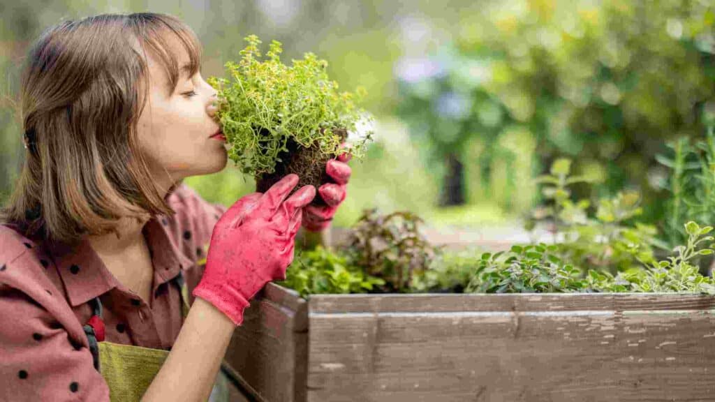 how to make your yard smell good