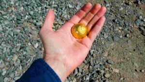 How To Find Gold In Your Backyard [Unlocking The Treasure]