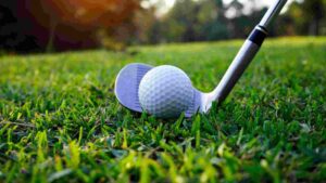 How To Make A Backyard Putting Green [A Step-By-Step Guide]