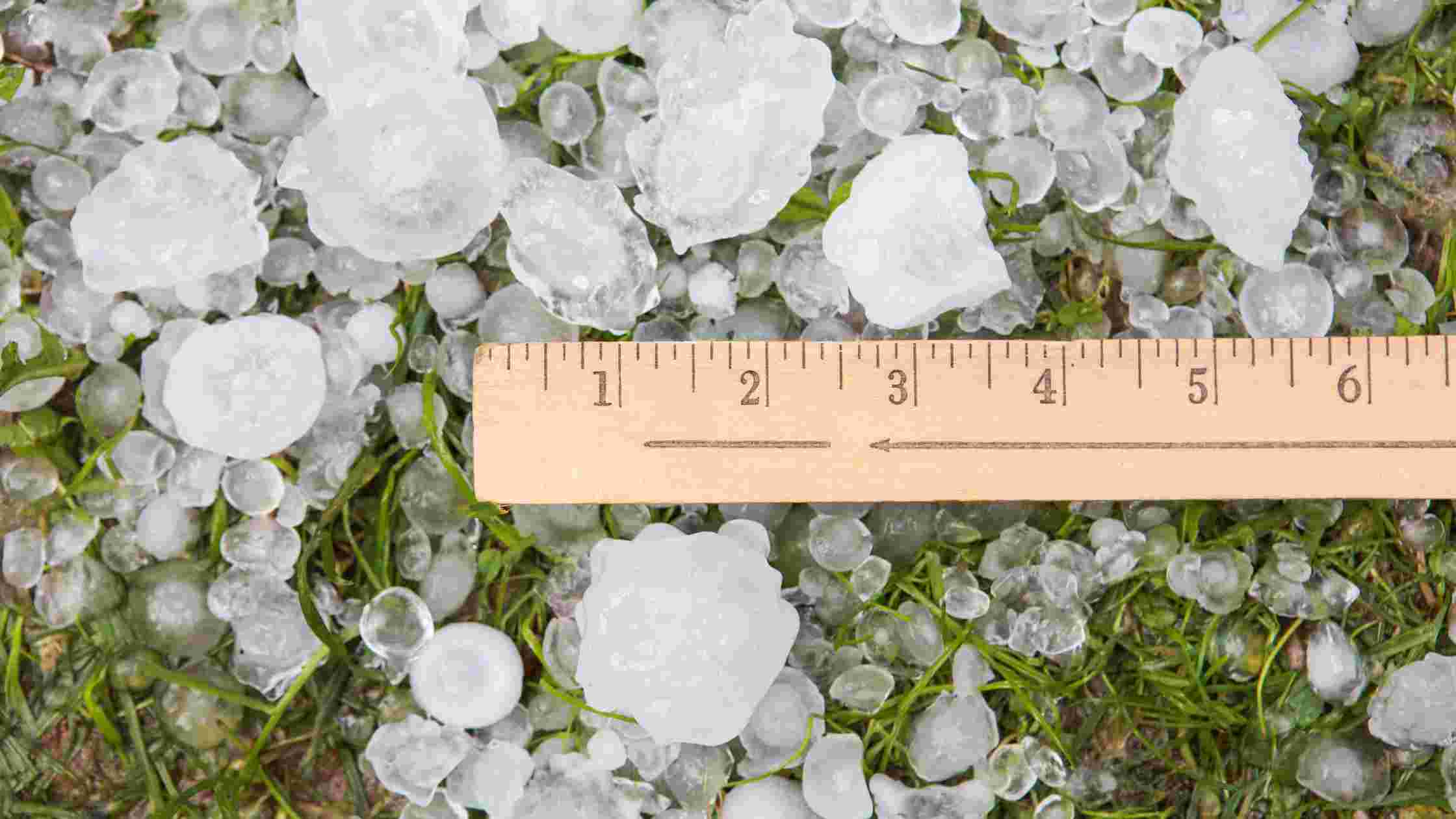 How To Measure A Backyard [A Comprehensive Guide]