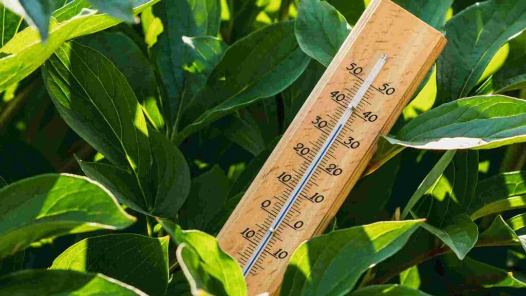 how to measure backyard