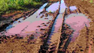 How To Soak Up Excess Water In Yard [8 Effective Methods]