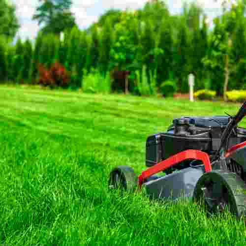 lawn care name generator (logo)