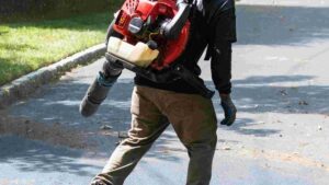 Best Backpack Leaf Blower for Efficient Yard Cleaning In 2026