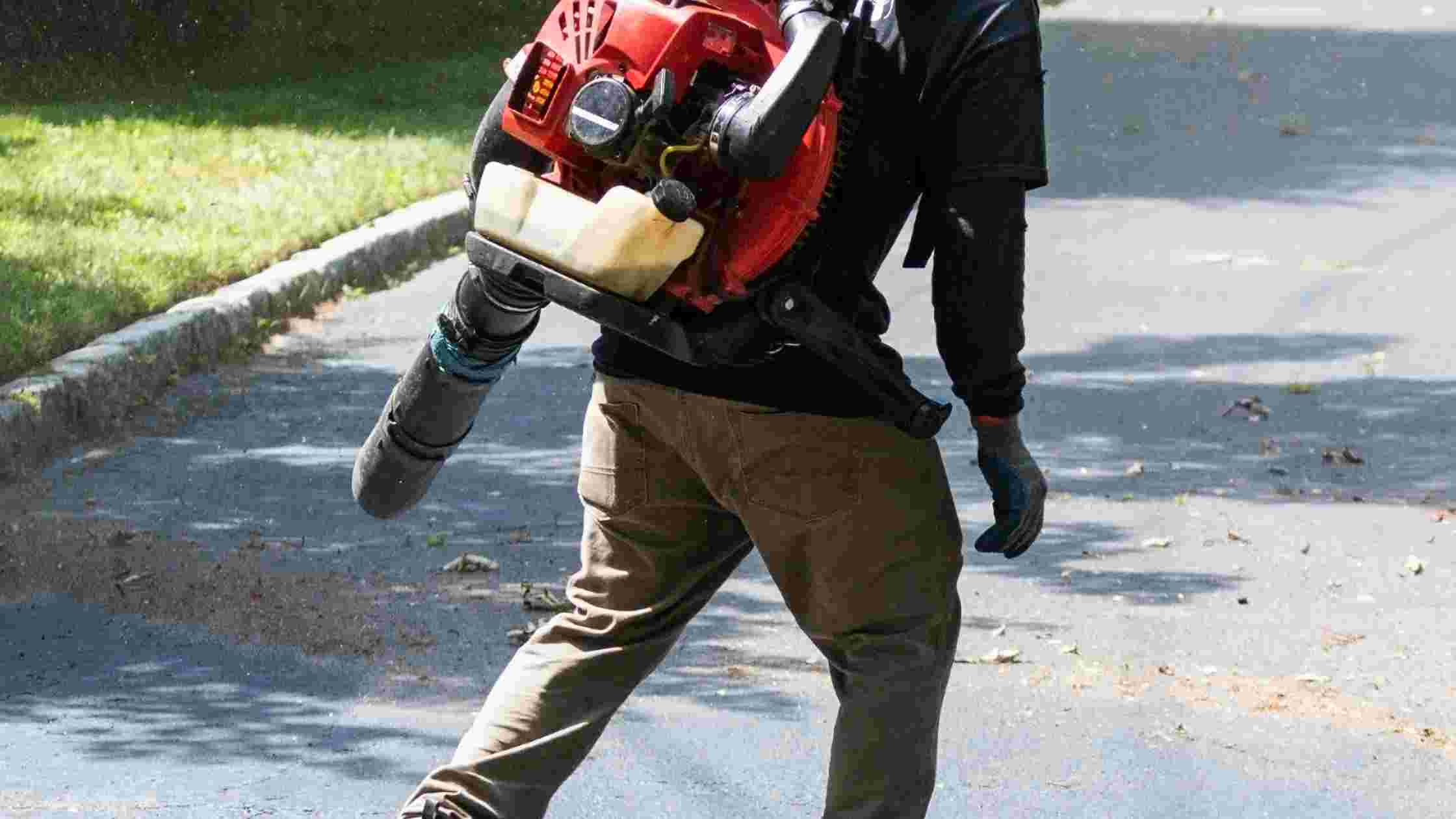 5 Best Backpack Leaf Blower for Efficient Yard Cleaning In 2024