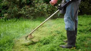 Best Corded Electric Weed Eater for Lawn Maintenance