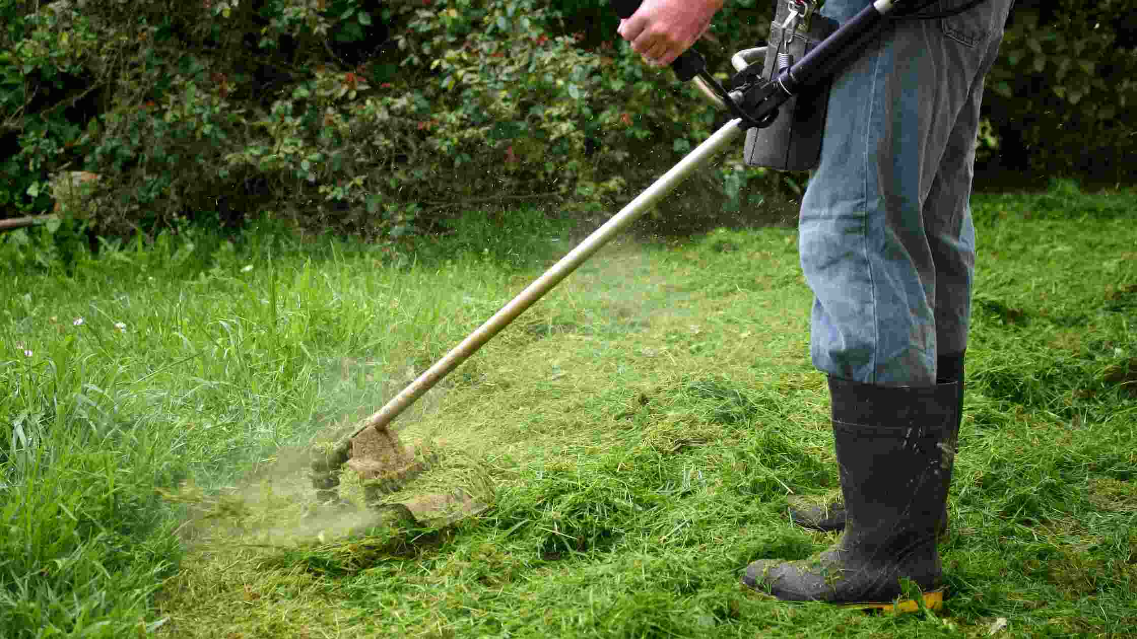 5 Best Corded Electric Weed Eater for Lawn Maintenance in 2024