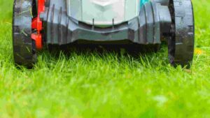Best Cordless Electric Lawnmowers For A Neat And Tidy Lawn