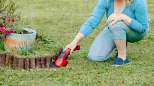 Best Electric Grass Shears For A Perfectly Manicured Lawn