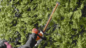 Best Electric Hedge Trimmers For A Perfectly Manicured Yard