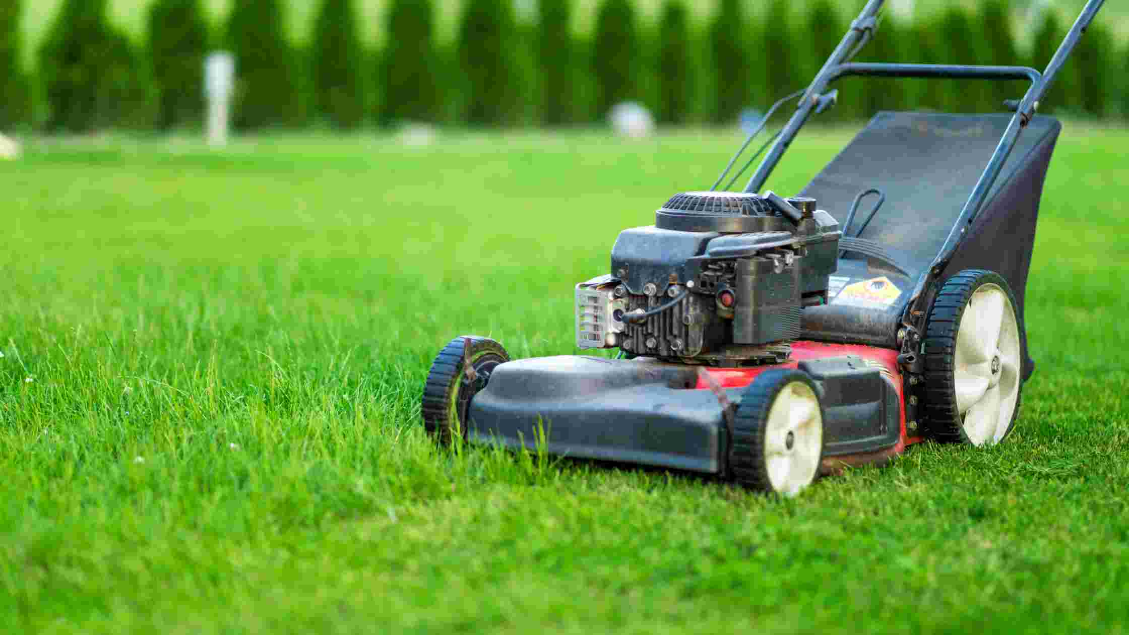 5 Best Lawn Mower for Hills Top Picks for Steep Terrain In 2024