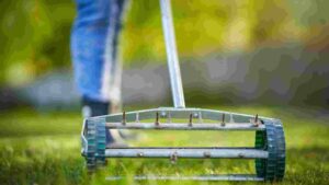 Best Manual Lawn Aerators for a Healthier Lawn