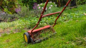 Best Manual Lawn Mower For  Perfectly Manicured Lawn In 2026