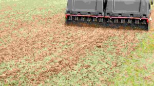 Best Plug Aerator for a Healthier Lawn