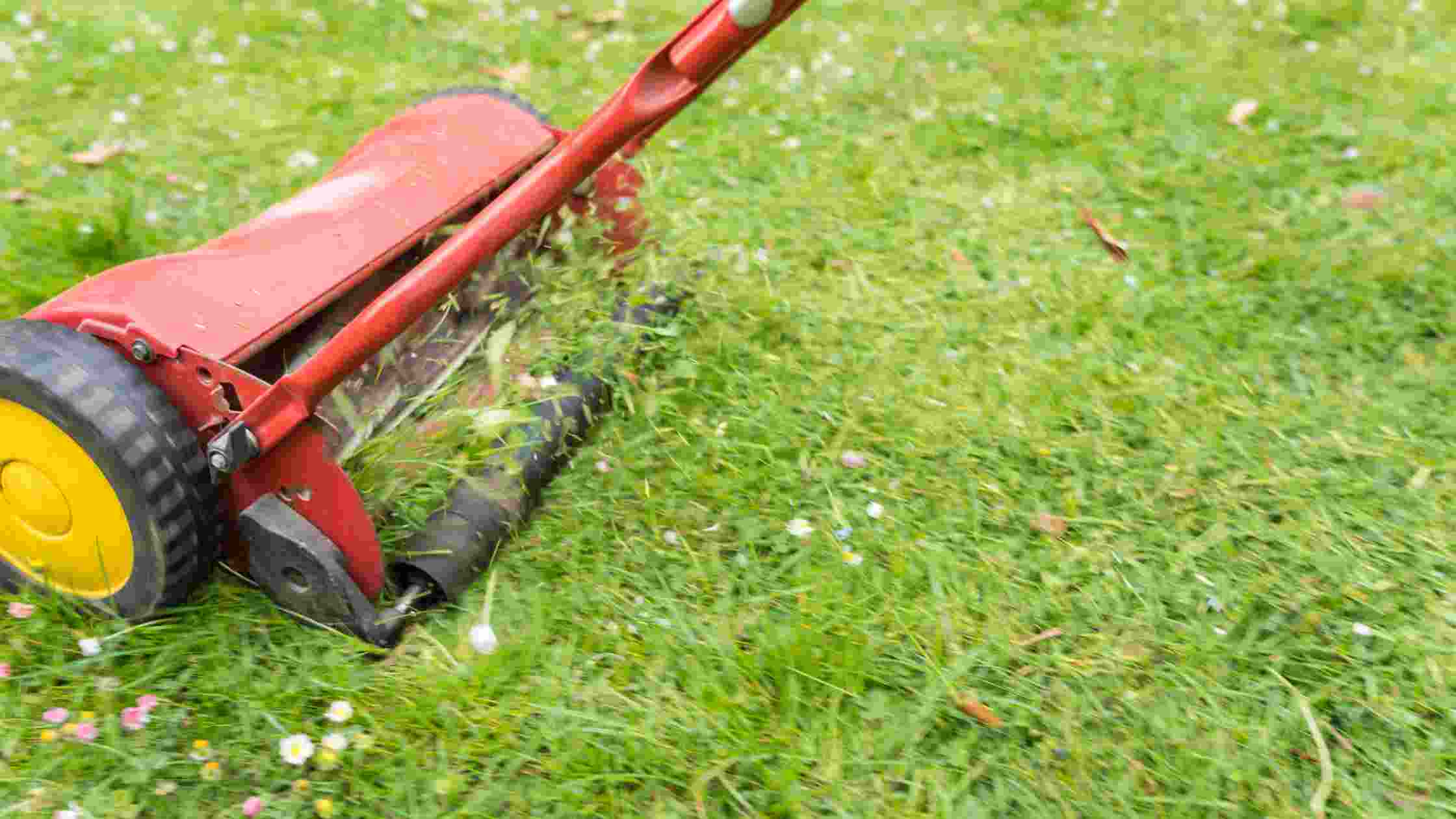 5 Best Push Lawn Mower For A Perfectly Manicured Lawn In 2024