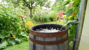 Best Rain Barrels for Water Conservation in 2026