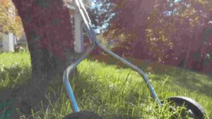 Best Reel Mowers For A Perfectly Manicured Lawn In 2026