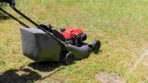 Best Self Propelled Lawnmower For Large Lawns In 2026