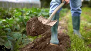 Best Shovel For Digging: 5 Top Picks For Efficient Gardening