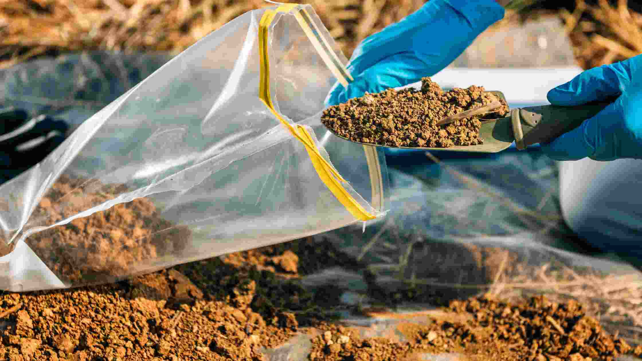 Best Soil Test Kit for Accurate Soil Testing at Home in 2024 SkilledHub